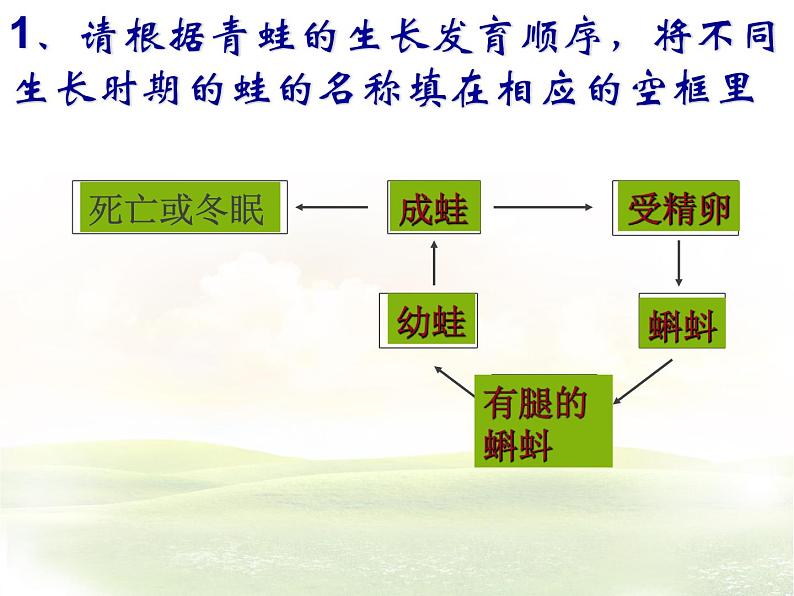 【浙教版】科学七下：1.3《动物的生长时期》ppt课件（4）第4页