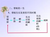 【浙教版】科学七下：1.3《动物的生长时期》ppt课件