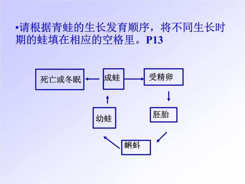 【浙教版】科学七下：1.3《动物的生长时期》ppt课件06