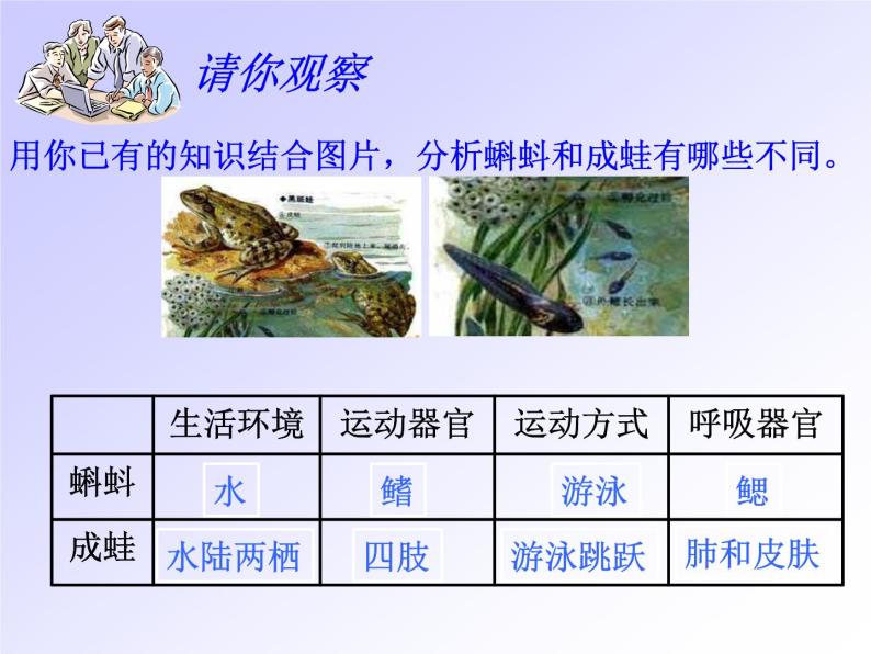 【浙教版】科学七下：1.3《动物的生长时期》ppt课件07