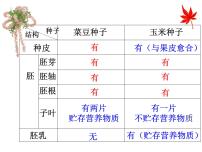 初中科学浙教版七年级下册第4节 植物的一生图文ppt课件