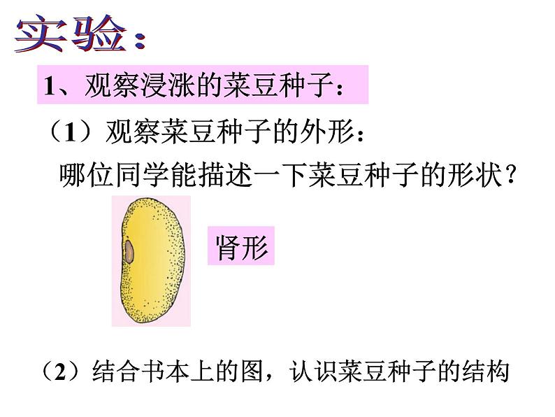 【浙教版】科学七下：1.4《植物的一生》ppt课件（1）第6页