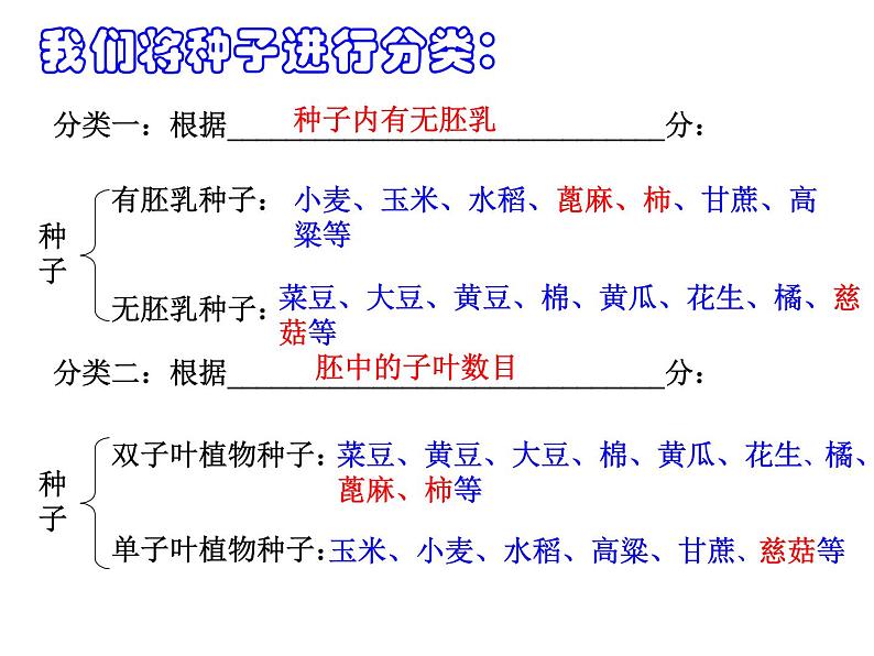 【浙教版】科学七下：1.4《植物的一生》ppt课件（3）第5页