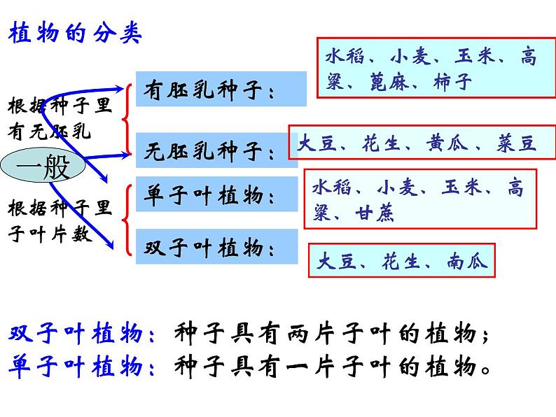 【浙教版】科学七下：1.4《植物的一生》ppt课件（3）第7页