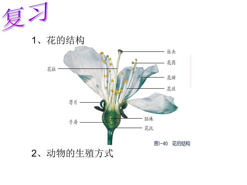 【浙教版】科学七下：1.5《植物生殖方式的多样性》（第1课时）ppt课件（1）01