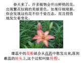 【浙教版】科学七下：1.5《植物生殖方式的多样性》（第1课时）ppt课件
