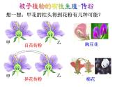 【浙教版】科学七下：1.5《植物生殖方式的多样性》（第1课时）ppt课件