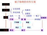 【浙教版】科学七下：1.5《植物生殖方式的多样性》（第2课时）ppt课件（1）