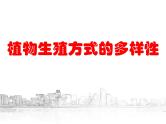 【浙教版】科学七下：1.5《植物生殖方式的多样性》ppt课件（1）