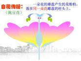 【浙教版】科学七下：1.5《植物生殖方式的多样性》ppt课件（1）