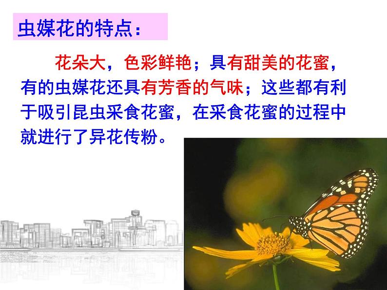 【浙教版】科学七下：1.5《植物生殖方式的多样性》ppt课件（1）第8页