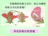 【浙教版】科学七下：1.5《植物生殖方式的多样性》ppt课件（2）