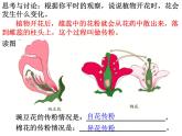 【浙教版】科学七下：1.5《植物生殖方式的多样性》ppt课件（3）
