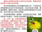 【浙教版】科学七下：1.5《植物生殖方式的多样性》ppt课件（3）