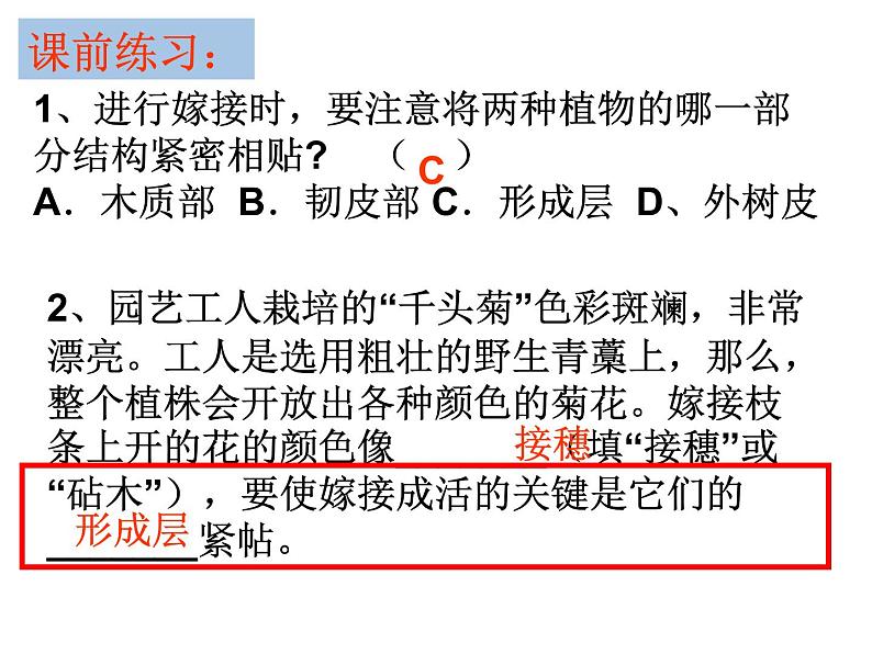 【浙教版】科学七下：1.6《细菌和真菌的繁殖》ppt课件（2）01