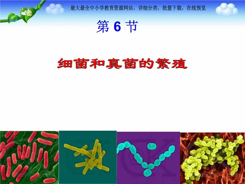 【浙教版】科学七下：1.6《细菌和真菌的繁殖》ppt课件（5）01