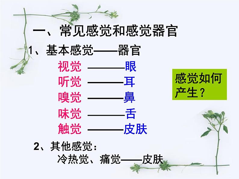 【浙教版】科学七下：2.1《感觉世界》ppt课件（5）第6页