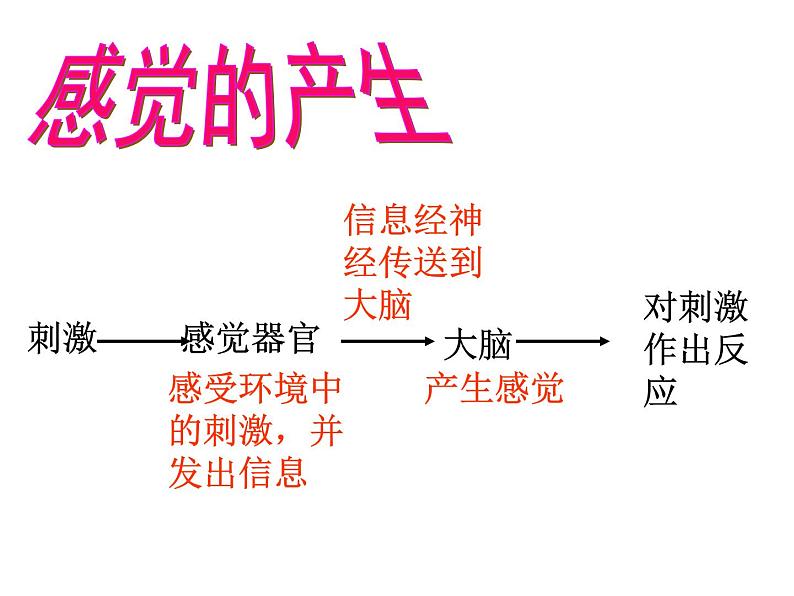 【浙教版】科学七下：2.1《感觉世界》ppt课件（6）06