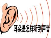 【浙教版】科学七下：2.3《耳和听觉》ppt课件（1）
