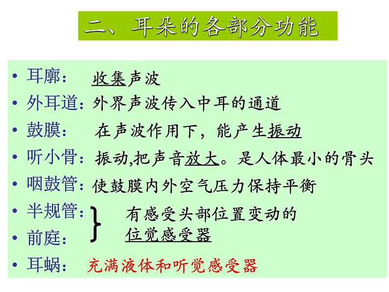 【浙教版】科学七下：2.3《耳和听觉》ppt课件（1）06