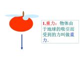 【浙教版】科学七下：3.3《重力》ppt课件（1）