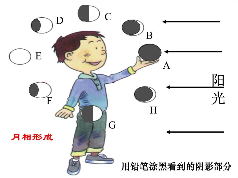 【浙教版】科学七下：4.4《月相》ppt课件（2）05