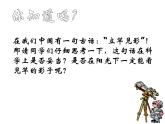 【浙教版】科学七下：4.3《地球的绕日运动》ppt课件（3）