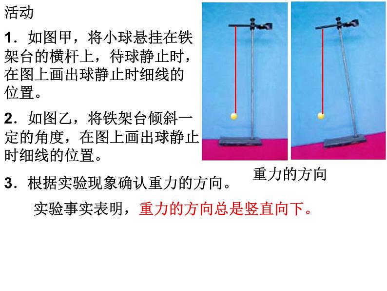 【浙教版】科学七下：3.3《重力》ppt课件（2）03