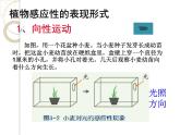 2020秋【浙教版】科学八年级上册3.1《植物生命活动的调节》（1）课件PPT