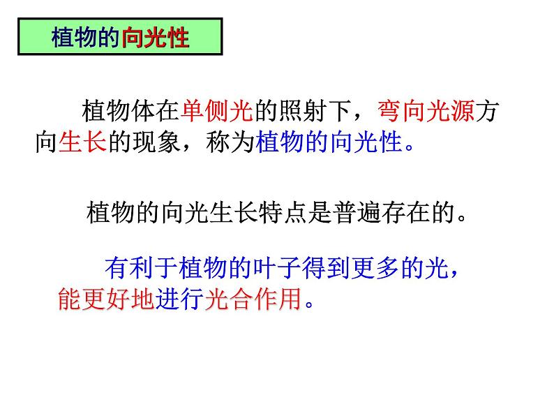 2020秋【浙教版】科学八年级上册3.1《植物生命活动的调节》（1）课件PPT06