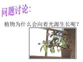 2020秋【浙教版】科学八年级上册3.1《植物生命活动的调节》（5）课件PPT