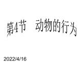 2020秋【浙教版】科學(xué)八年級上冊3.4《動物的行為》（1）課件PPT