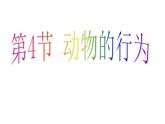 2020秋【浙教版】科學(xué)八年級上冊3.4《動物的行為》（2）課件PPT