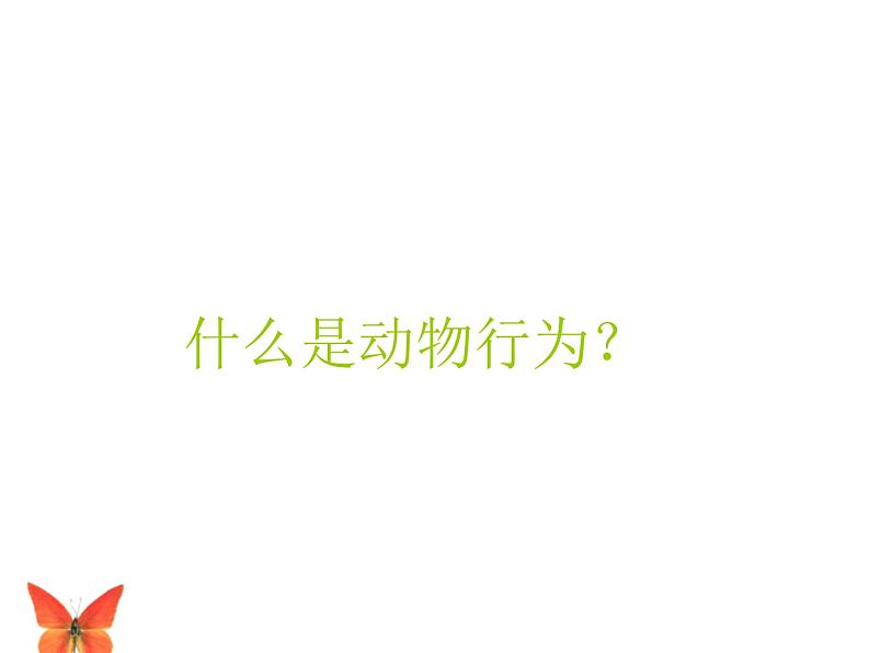 2020秋【浙教版】科学八年级上册3.4《动物的行为》（2）课件PPT02