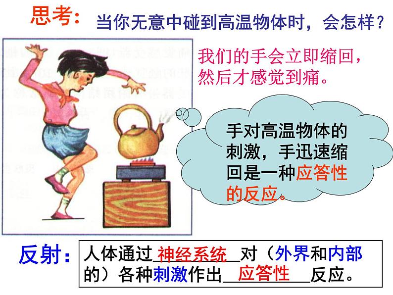 2020秋【浙教版】科学八年级上册3.3《神经调节》（3）课件PPT03