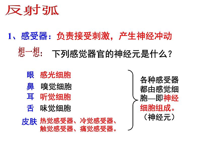 2020秋【浙教版】科学八年级上册3.3《神经调节》（3）课件PPT07