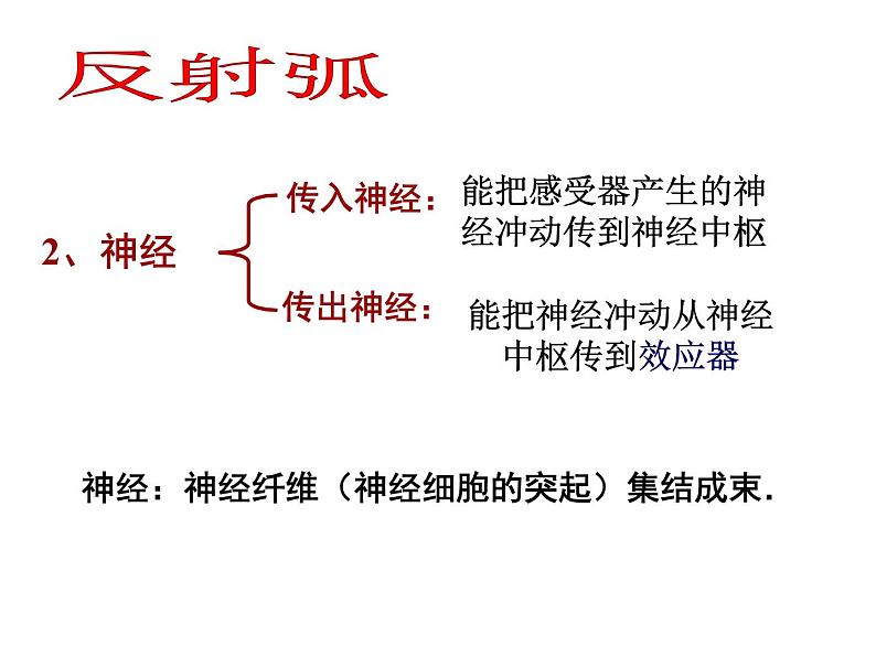 2020秋【浙教版】科学八年级上册3.3《神经调节》（3）课件PPT08