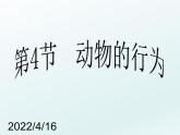 2020秋【浙教版】科學(xué)八年級上冊3.4《動物的行為》（4）課件PPT