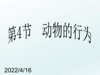 初中科学华师大版八年级下册1 动物的行为课文配套ppt课件