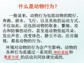 2020秋【浙教版】科學(xué)八年級上冊3.4《動物的行為》（4）課件PPT