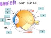 【浙教版】科学七下：2.6《透镜和视觉》ppt课件（3）