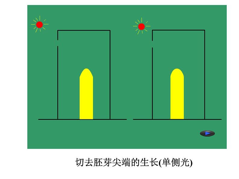 2020秋【浙教版】科学八年级上册3.2《神奇的激素》（3）课件PPT第6页