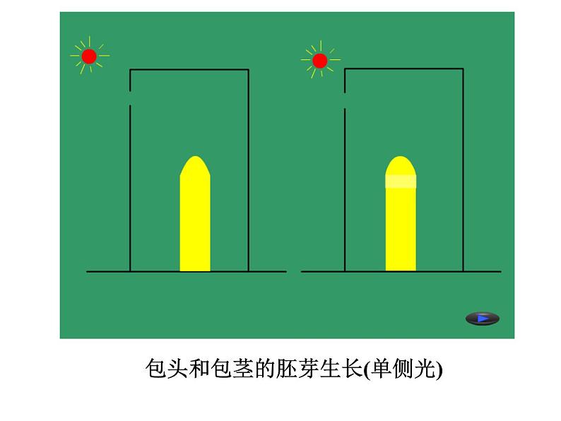 2020秋【浙教版】科学八年级上册3.2《神奇的激素》（3）课件PPT第7页