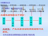 2020秋【浙教版】科学八年级上册3.2《神奇的激素》课件PPT