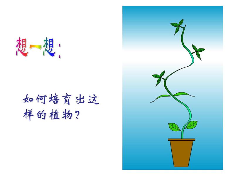 2020秋【浙教版】科学八年级上册3.2《神奇的激素》课件PPT第2页