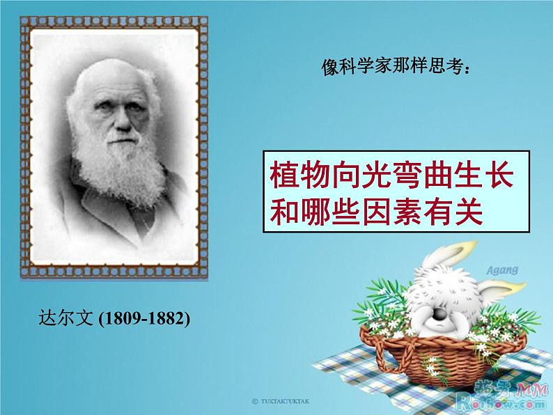 2020秋【浙教版】科学八年级上册3.2《神奇的激素》课件PPT第3页