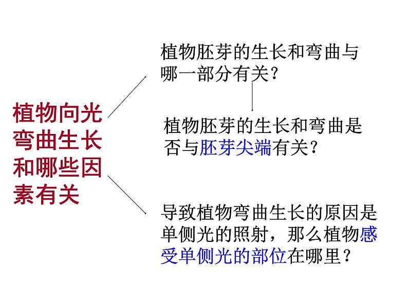 2020秋【浙教版】科学八年级上册3.2《神奇的激素》课件PPT第4页