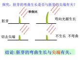 2020秋【浙教版】科学八年级上册3.2《神奇的激素》课件PPT