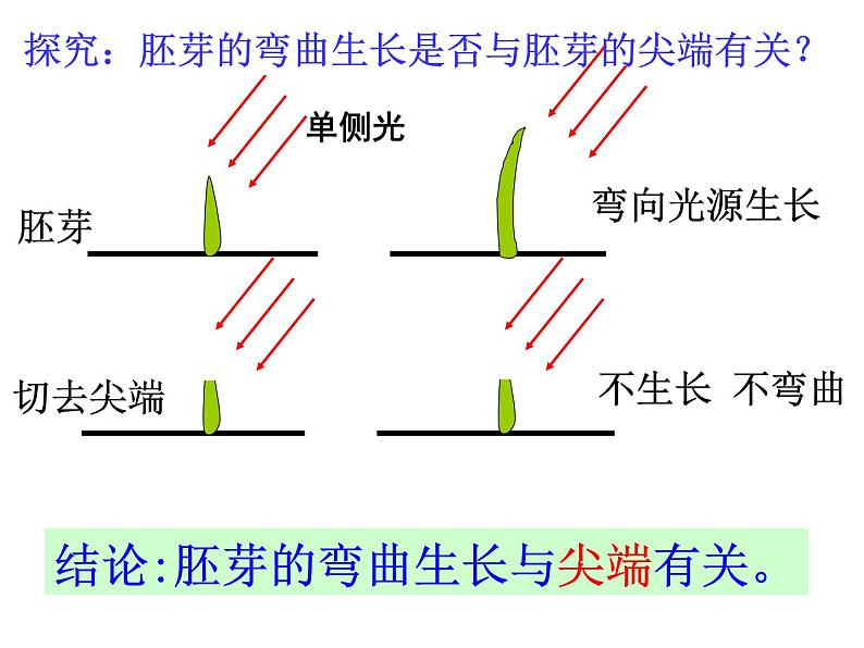 2020秋【浙教版】科学八年级上册3.2《神奇的激素》课件PPT第5页