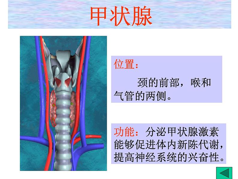 2020秋【浙教版】科学八年级上册3.2《神奇的激素》（6）课件PPT第8页